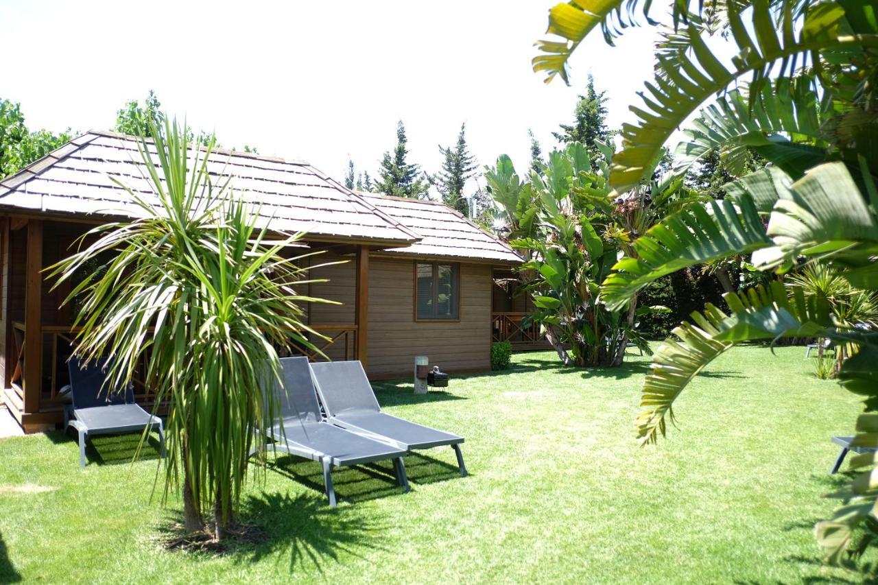 Playa Montroig Camping Resort Exteriér fotografie